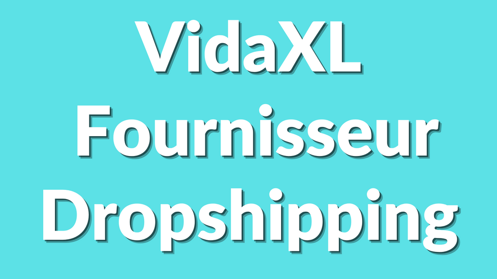 VidaXL : fournisseur dropshipping européen (livraison rapide)