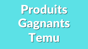 35 Produits Temu méga rentables en 2025 (achat revente)
