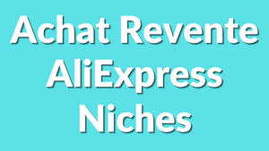 Les meilleures niches rentables à exploiter sur AliExpress en 2025 pour l’achat revente