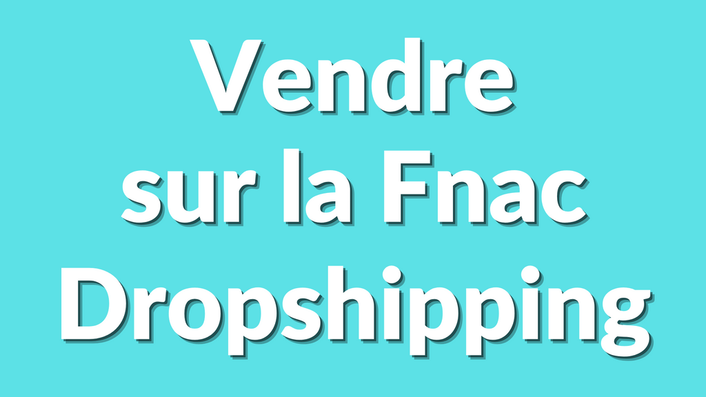 Les meilleures stratégies pour réussir son dropshipping sur la Fnac