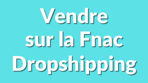 Les meilleures stratégies pour réussir son dropshipping sur la Fnac