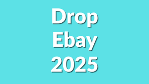 Comment Faire du Dropshipping sur eBay en 2025 ?