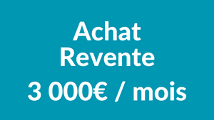 Achat Revente : Vinted, Amazon, Leboncoin, Vêtements (Guide Ultime)