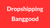 Dropshipping avec Banggood : 7 Avantages