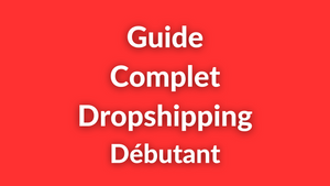 Comment Démarrer le Dropshipping : Guide Complet Débutant