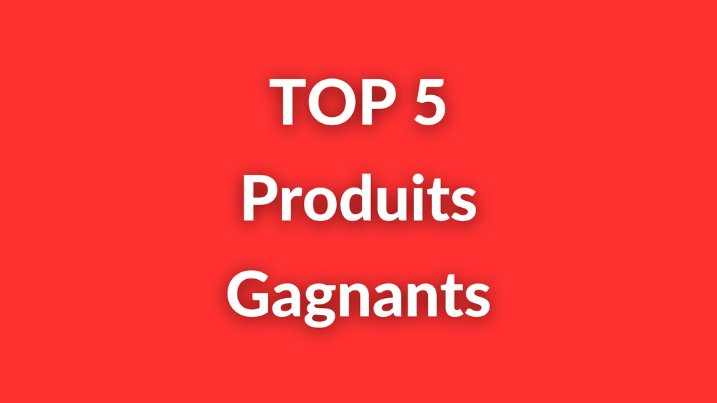 TOP 5 Produits Gagnants Dropshipping à Vendre Toute l’Année