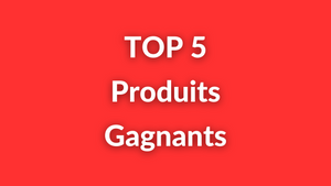 TOP 5 Produits Gagnants Dropshipping à Vendre Toute l’Année