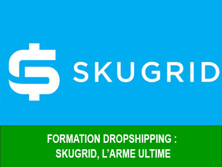 Formation dropshipping : Mon avis sur Skugrid, l’arme ultime