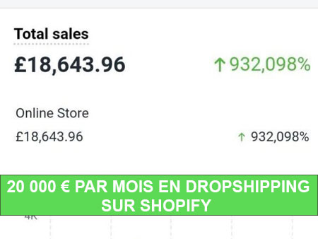 Formation Google Ads : 20K par Mois en Dropshipping sur Shopify