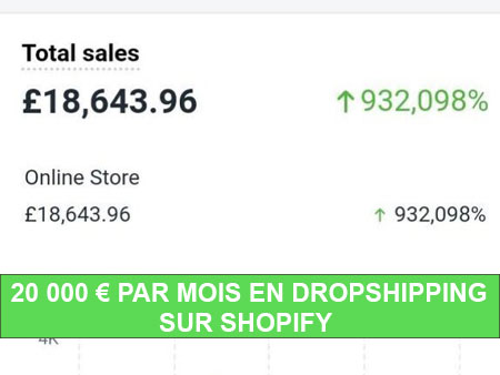 Résultats dropshipping sur Shopify