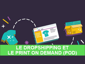 Business en ligne : Dropshipping et POD en 2024