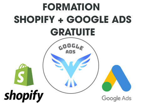 Formation gratuite dropshipping Shopify et Google Ads