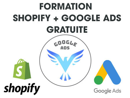 Formation dropshipping gratuite