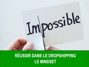 Réussir dans le dropshipping : Le mindset