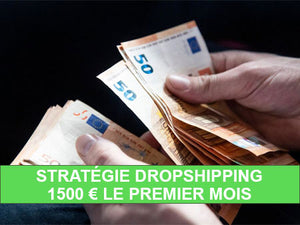 Stratégie dropshipping : 1500 € net le premier mois