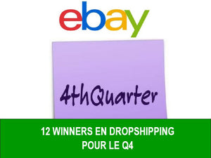 12 produits winners pour le dropshipping