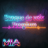 Formation MIA (Machine à Musique) : Générer et Monétiser des Hits avec l'IA