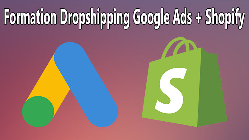 formation dropshipping google ads shopify