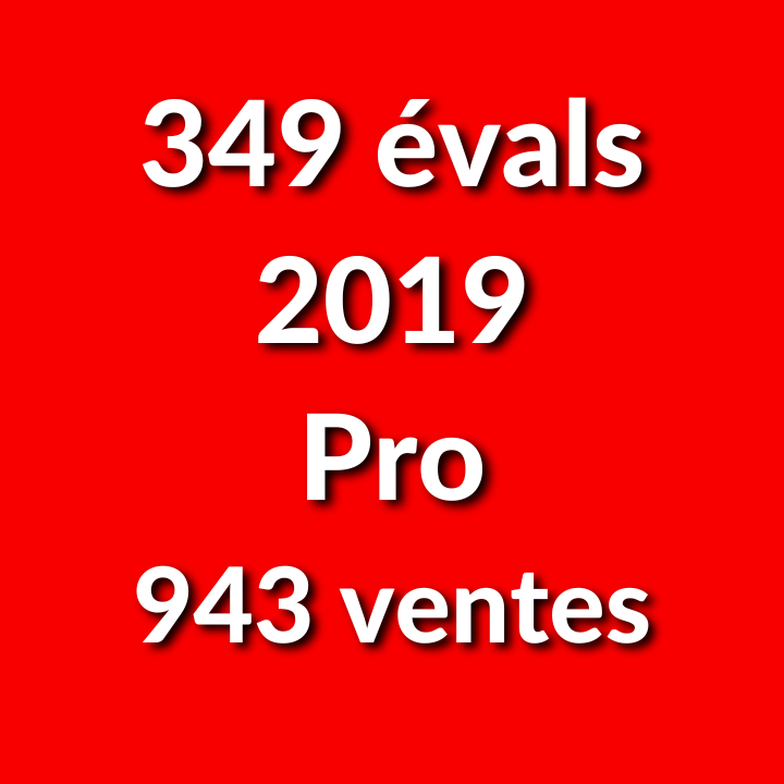 Compte Ebay France : 349 évaluations, Pro, 943 Ventes (2019)