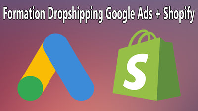 Formation Google Ads Shopify Dropshipping